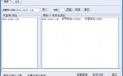 .top域名批量查询（域名批量查询工具 支持自定义）