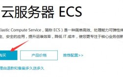 云服务器ecs购买须知，ecs云服务器是什么