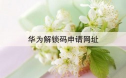 华为官网解锁码（华为手机解锁码申请网站首页）