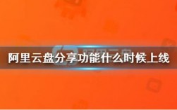 阿里云盘怎么升级最新版本，阿里云怎么增加d盘