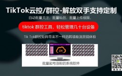 做tiktok要不要租赁节点，节点服务器哪个比较不错