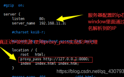 Linux VPS上配置Nginx反向代理（VPS的IP被其他域名指向了，有什么好的处理方法么)