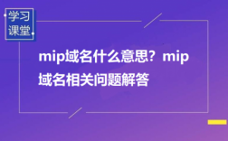 怎么看是不是域名（怎么知道域名是mip域名）