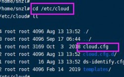 cpu相关的网络用语，cloud dns