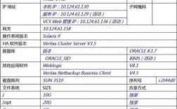 asp网站配置服务器_ASP报告信息