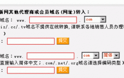 代理域名转移密码（域名代理是什么意思）