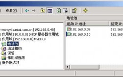 服务器dhcp作用（服务器dhcp作用域已停止）