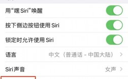 siri为什么没有叮咚声（siri为什么没有叮咚声了）