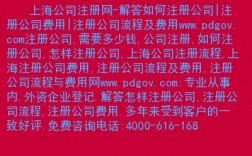 注册公司后期维护需要交哪些费用，公司域名怎么缴纳费用的