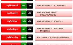 阿联酋域名（阿联酋网站后缀）