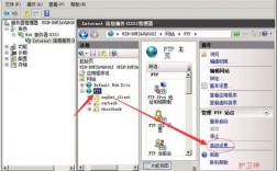 iis的ftp怎么设置（iis7 ftp）