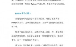 python实训心得体会800字