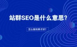 SEO站群服务器有哪些优点?（站群是什么意思)