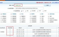 cn域名ns记录查询（cn域名a记录查看）