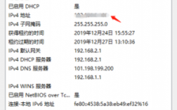 美国ip地址怎么填写（美国ip地址查询）