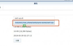 iis泛域名（let's encrypt 泛域名）