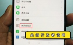 华为关闭开发者选项（华为关闭开发者选项怎么设置）