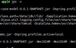 linux如何查看java启动参数（linux查看java是否启动）