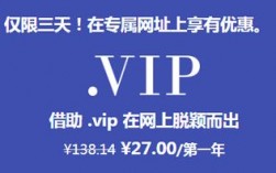 vip域名多少钱一年（vip域名多少钱一年免费）