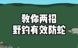 如何保护您的身份和数据免受网络钓鱼攻击？（野钓防蛇最佳方法)