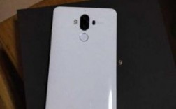 华为mate9白色掉漆（mate9有白色吗）