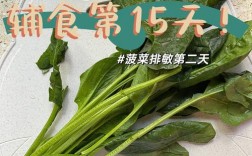 菠菜怎么算同ip（菠菜15）