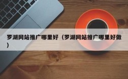 罗湖软件网站推广哪里好（罗湖app）