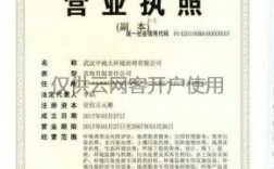 东湖区营业执照去哪里注册（东湖新技术开发区的营业执照哪里办）