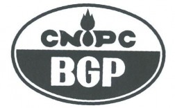 bgp国际部怎么样（bgp公司）