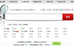 中文域名在哪里注册（中文域名注册服务商）