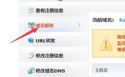 网站解析别名怎么用（别名解析怎么设置）