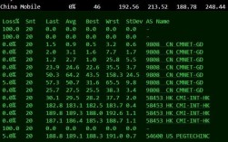 境外大硬盘vps租用有哪些优势（vps是什么意思)