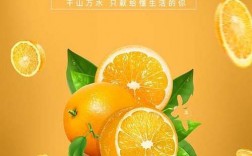 美橙 怎么样（美橙官网）