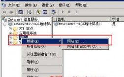 iis怎么新建（怎样在局域网中组建自己的Web站点)