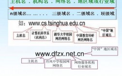 网站域名基础信息（网站域名的作用）