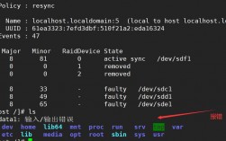 linux中怎么查看Raid磁盘阵列信息（linux查看磁盘raid内容）