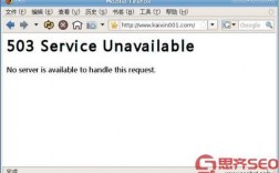 HTTP Error 503：原因与解决方案全攻略（HTTP Error 503的原因是什么)