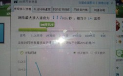 服务器宽带1m太慢怎么办（服务器宽带1m太慢怎么办啊）