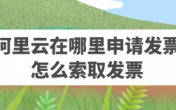 阿里云怎么索取发票（阿里云发票可以公司报销吗）