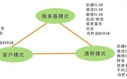 VTP模式分哪几种，他们是如何工作的，VTP的三种模式