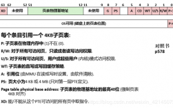 页表在哪里下载地址（页表tlb）