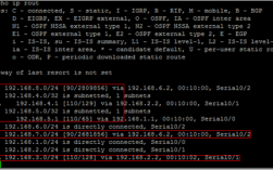 检查EIGRP路由协议配置的命令（查看ospf路由类型)