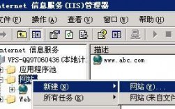 注册iis服务器（服务器iis搭建网站）