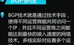 怎么区分bgp运营商（bgp 运营商）