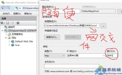 iis怎么设置域名（iis设置域名不解析ip）