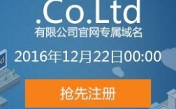 ltd后缀域名贵（coltd域名）