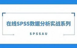 云服务器网页太小（spss怎么进行共线性分析）