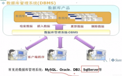 数据库服务器的形式（数据库服务器用什么操作系统）