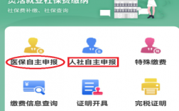 社保申报U棒在哪里买（社保申报怎么申报）