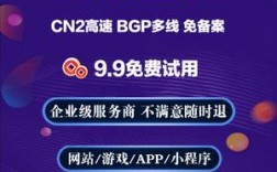 可以租用Cn2玩游戏么，台湾 云服务器